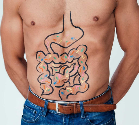 NEW Prob-EYE-otics healthy gut, healthy body, healthy vision